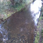 2-Taucha Parthe Brücke Am Weinberg Aufwärts (2)