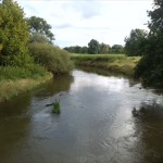 2-Weiße Elster Flussaufwärts Schafbrücke (2)