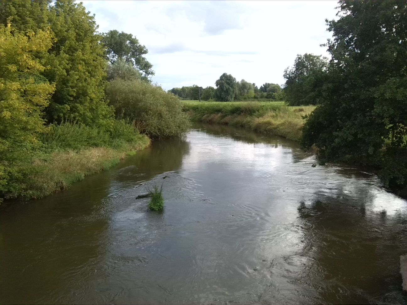 2-Weiße Elster Flussaufwärts Schafbrücke (2)