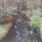 26-Plaußig Brücke Grundstraße Blick Partheaufwärts (2)