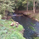 27-Plaußig Brücke Grundstraße Blick Partheabwärts (1)