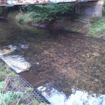 3-Taucha Parthe Blick Unter Brücke Am Weinberg Abwärts (1)