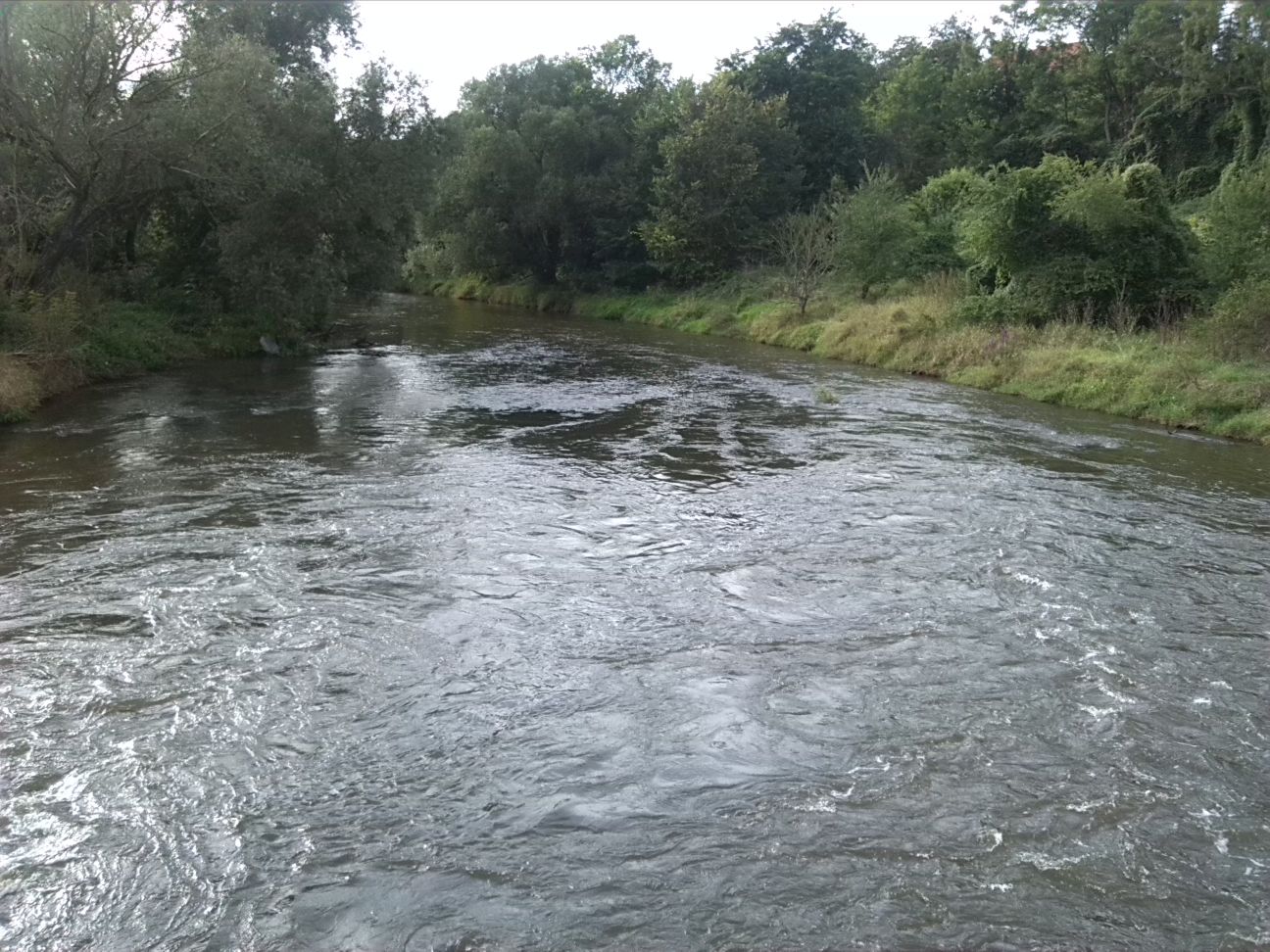 3-Weiße Elster Flussabwärts Schafbrücke (1)