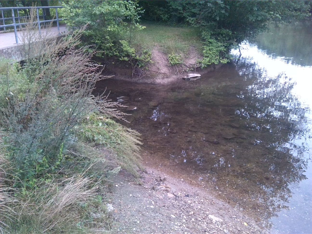 34-BadDürrenberg Mündungsbereich Ellerbach In Saale Einmündung In Saale (1)