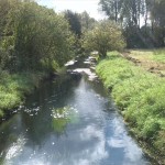 40-Leipzig Südlich Abtnaundorfer Park Parthe abwärts (1)