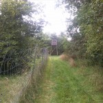 53-Kreypauer Holz Südteil Aufforstungen Blick Nach Nordosten Zu Querweg Im Nordostteil (2)