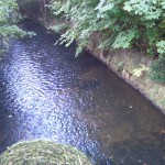 6-Taucha Parthe Zwischen Leipziger Straße & Graßdorfer Straße Brücke Südöstlich Graßdorfer Straße Flussaufwärts (2)