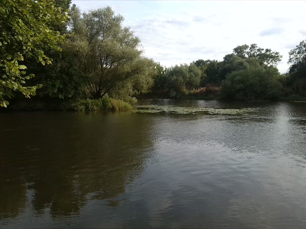 7-Einmündung Stilles Wasser In Weiße Elster (1)