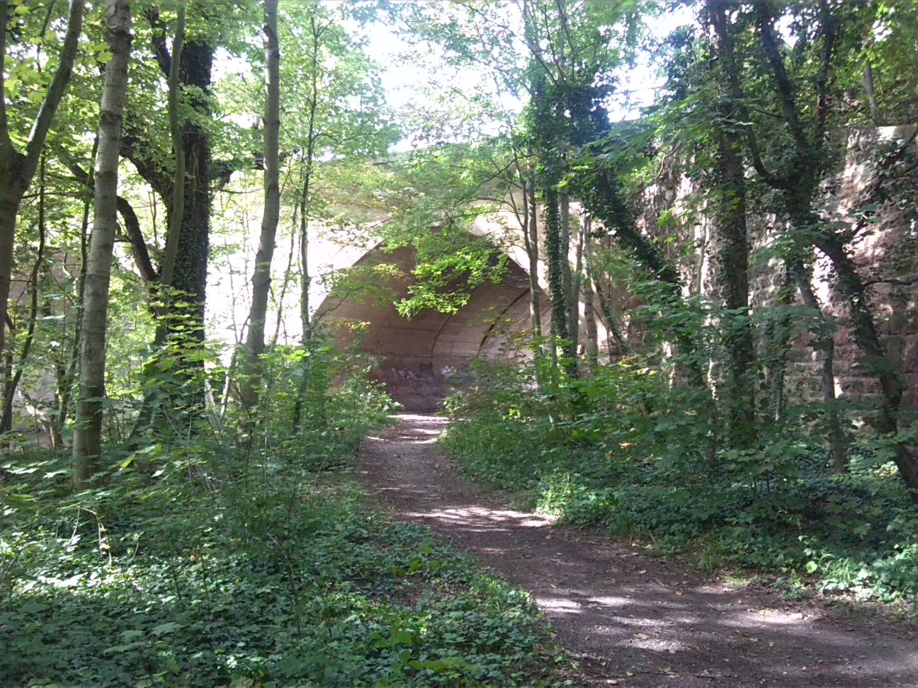 7-Weißenfels Westteil Auenwald Westlich Großer Brücke Blick Nach Norden Zu Eisenbahnbrücke (1)