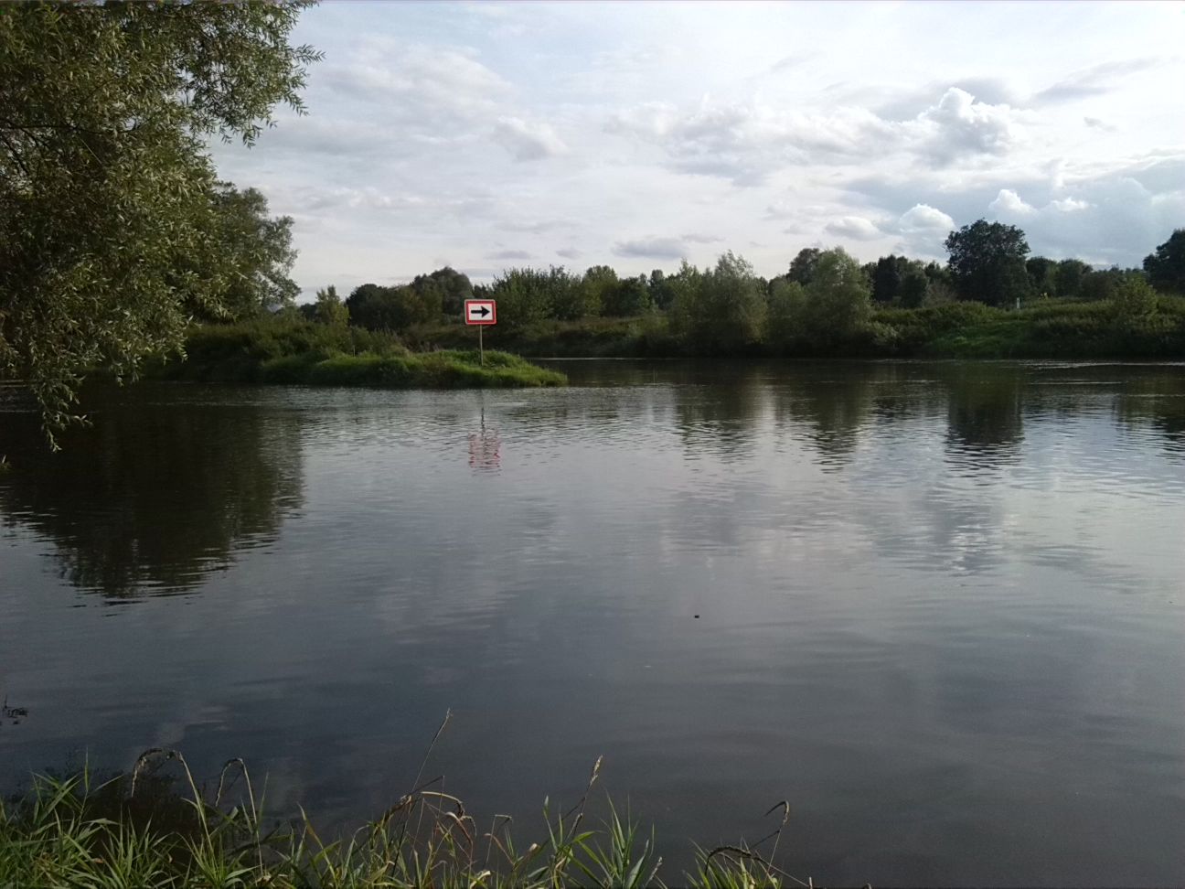 8-Mündung Weiße Elster In Saale (3)