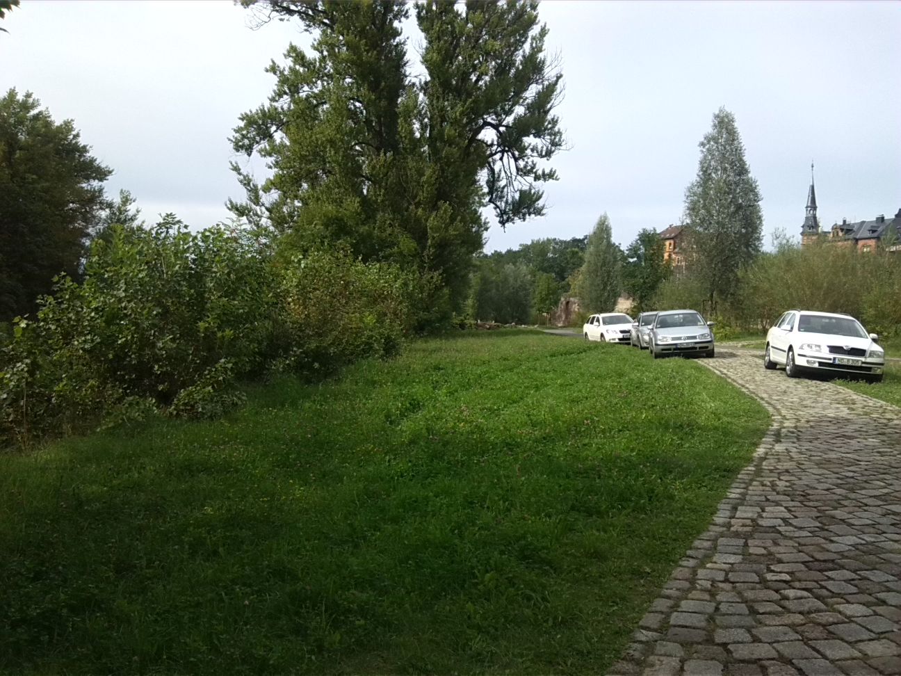 8-Weißenfels Gelände westlich Markwerbener Straße Westteil Am Saaleufer (1)