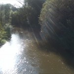 84-Schkeuditz Wehlitzer Brücke Blick Weiße Elster flussabwärts (2)