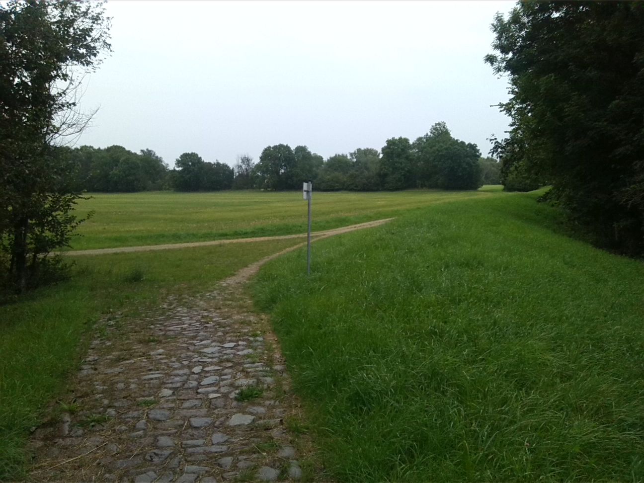 86-Alte Saale Deich Flussabwärts Südwestrand Fasanerie Merseburg Blick Nach Süden (1)