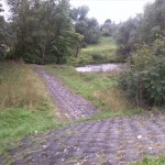 87-Merseburg Mündungsgebiet Alte Saale In Mittelkanal (1)