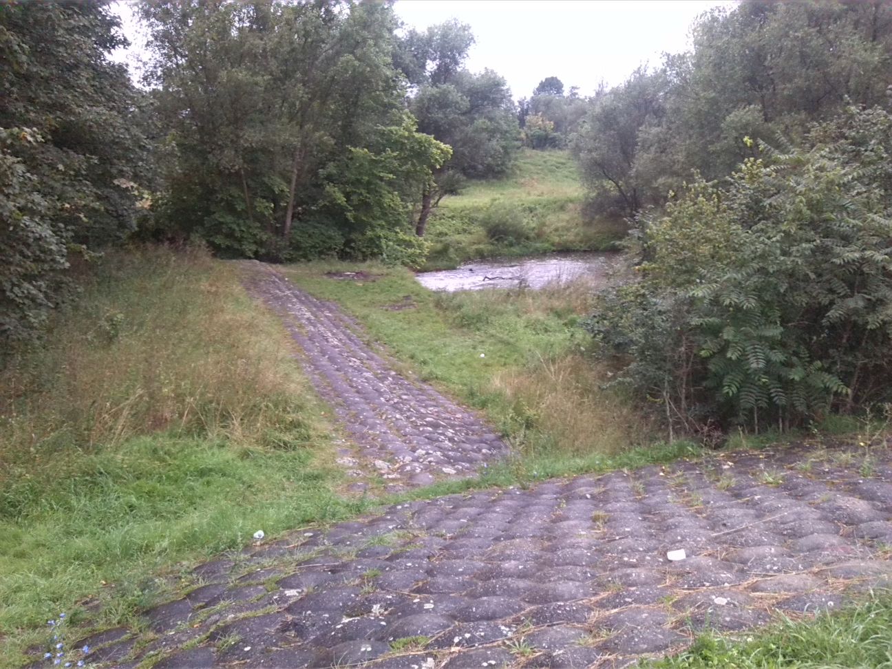 87-Merseburg Mündungsgebiet Alte Saale In Mittelkanal (1)