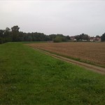 88-Merseburg Blick Von Deich Mittelkanal Nach Amtshäuser (1)