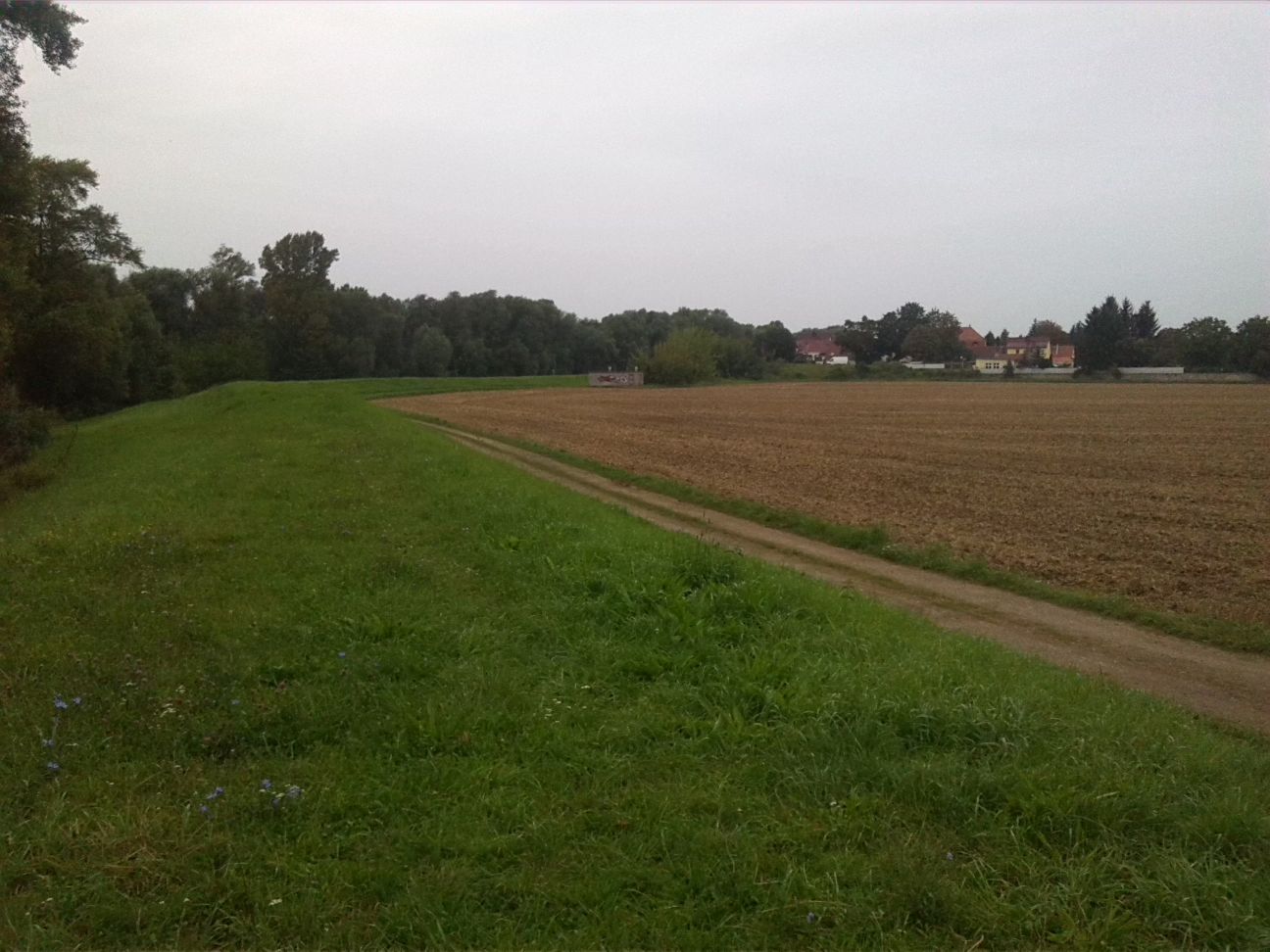 88-Merseburg Blick Von Deich Mittelkanal Nach Amtshäuser (1)
