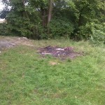 90-Merseburg Feuerstelle Mündungsgebiet Alte Saale In Mittelkanal (1)