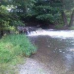 92-Merseburg Mündungsgebiet Alte Saale In Mittelkanal Wasserfall (2)