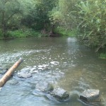 93-Merseburg Feuerstelle Mündungsgebiet Alte Saale In Mittelkanal Blick Mittelkanal (2)