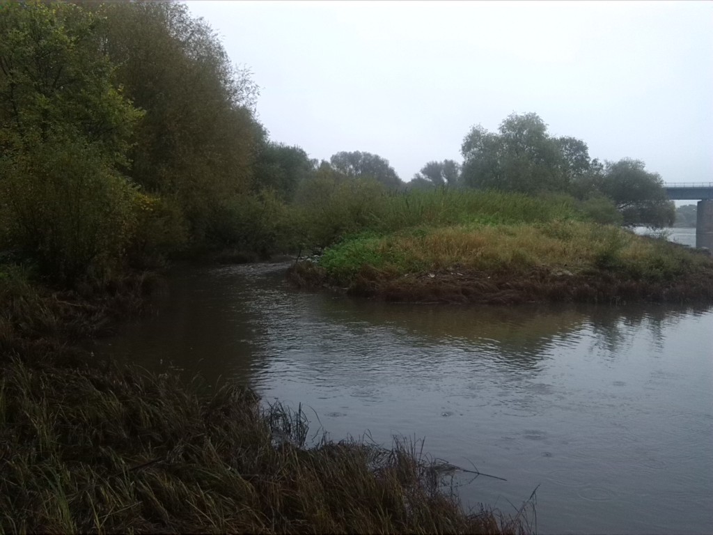 2-Dessau-Rosslau Mündung Der Rossel In Elbe (2)