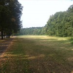 2-Halle-Blick Von Osten Auf Amselgrund Nördlich Talstraße (1)