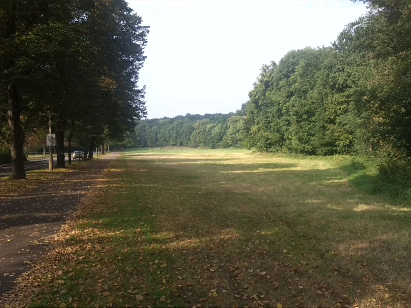 2-Halle-Blick Von Osten Auf Amselgrund Nördlich Talstraße (1)