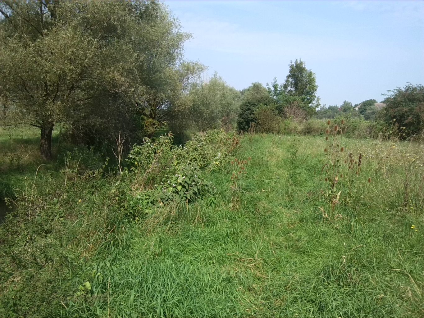 22-Zappendorf Köllme Wiese Zwischen Einmündung Würdebach In Salza & Landwirtschaftsring (2)