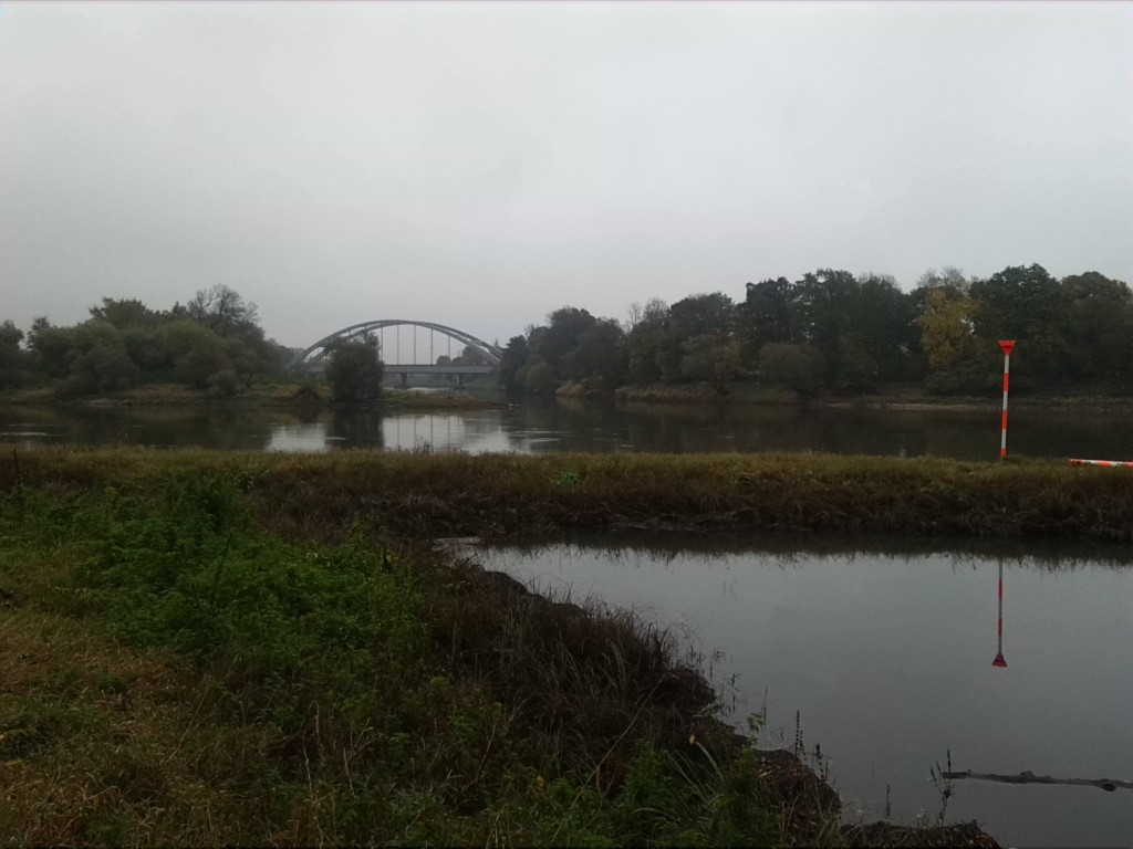 4-Dessau-Rosslau Unterluch Blick Zur Mündung Mulde In Elbe (2)