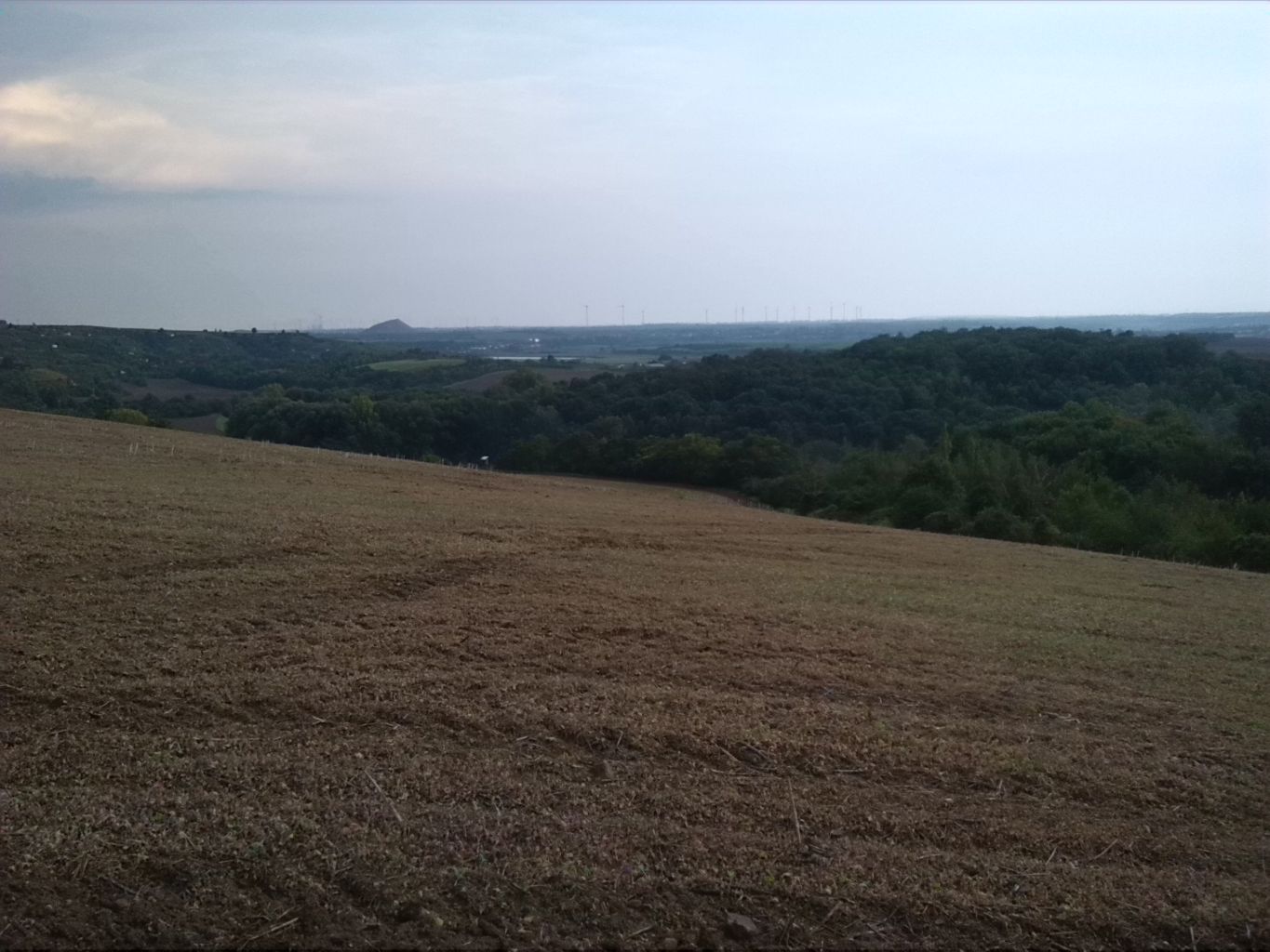 45-Seeburg Blick Von K2315 Nördlich Seeburg Nach Südosten Salziger See & Halde Teutschenthal & Kraftwerk Korbetha (2)