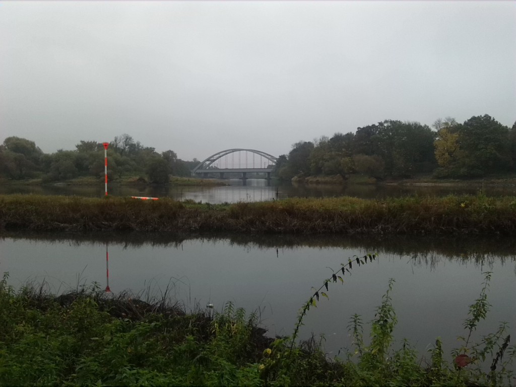 5-Dessau-Rosslau Unterluch Blick Zur Mündung Mulde In Elbe (1)