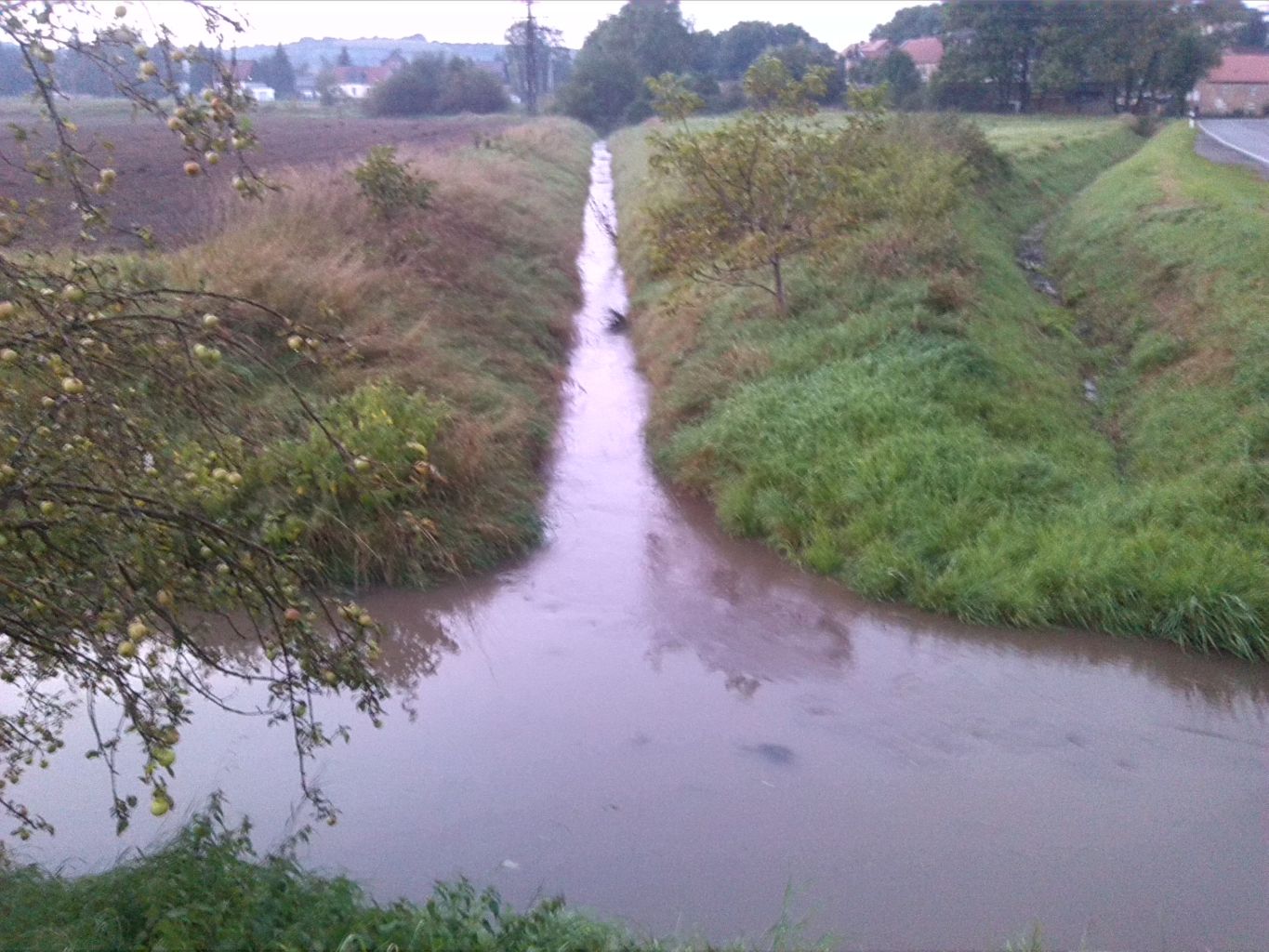 51-Zappendorf Blick In Laweke & Mündung Laweke In Salza (1)
