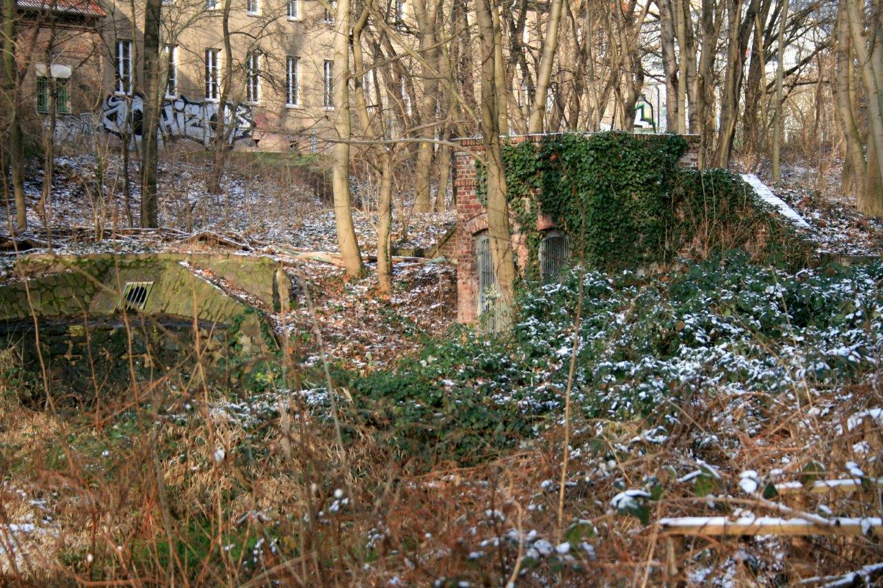 10-GLB Amselgrund & Kreuzer Teiche Blick Zu Quellhaus Oberer Teich Am Nordostrand