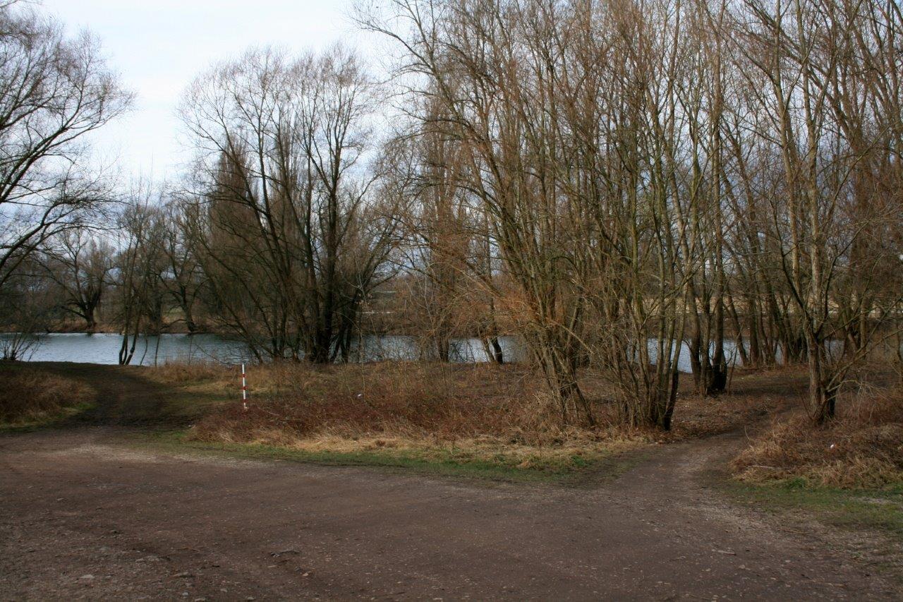 12-Blick Zum Mittelkanal Nach Westen Von Brücke Pulverweidenwehr