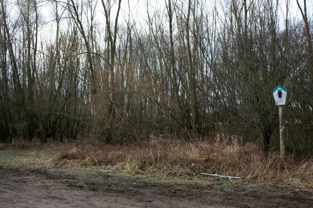 13-Untere Aue Unweit Brücke Pulverweidenwehr