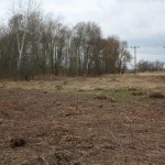 14-Untere Aue Freileitungstrasse Blick Nach Westen