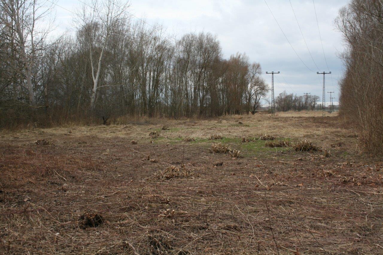 14-Untere Aue Freileitungstrasse Blick Nach Westen