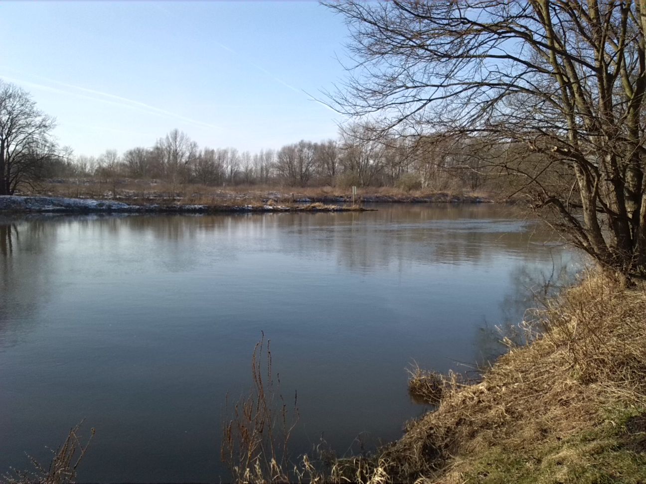 15-Blick Von Osten Auf Mündung Weiße-Elster In Saale (1)