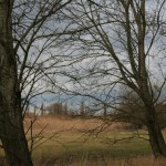 16-Untere Aue Weg Zur Rabeninsel Blick Nach Nordwesten