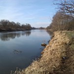 19-Blick Westlich Röpziger Brücke Saaleabwärts Nach Nordosten (2)