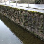 21-Nordwestlicher Ortseingang Zscherben Wand Teich & Straße Mit Milzfarn (1)