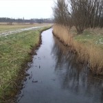 24-Blick Von Brücke Merseburger Straße Zwischen Zscherben & Merseburg Zu Geisel & Ins NSG Untere Geiselaue Nach Norden (2)