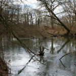 24-Rabeninsel Westteil Blick Auf Wilde Saale