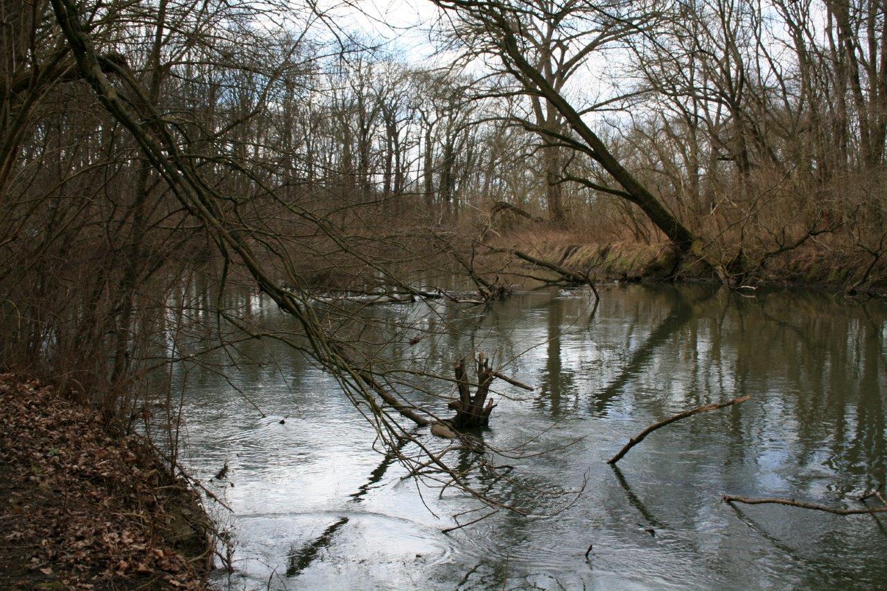 24-Rabeninsel Westteil Blick Auf Wilde Saale