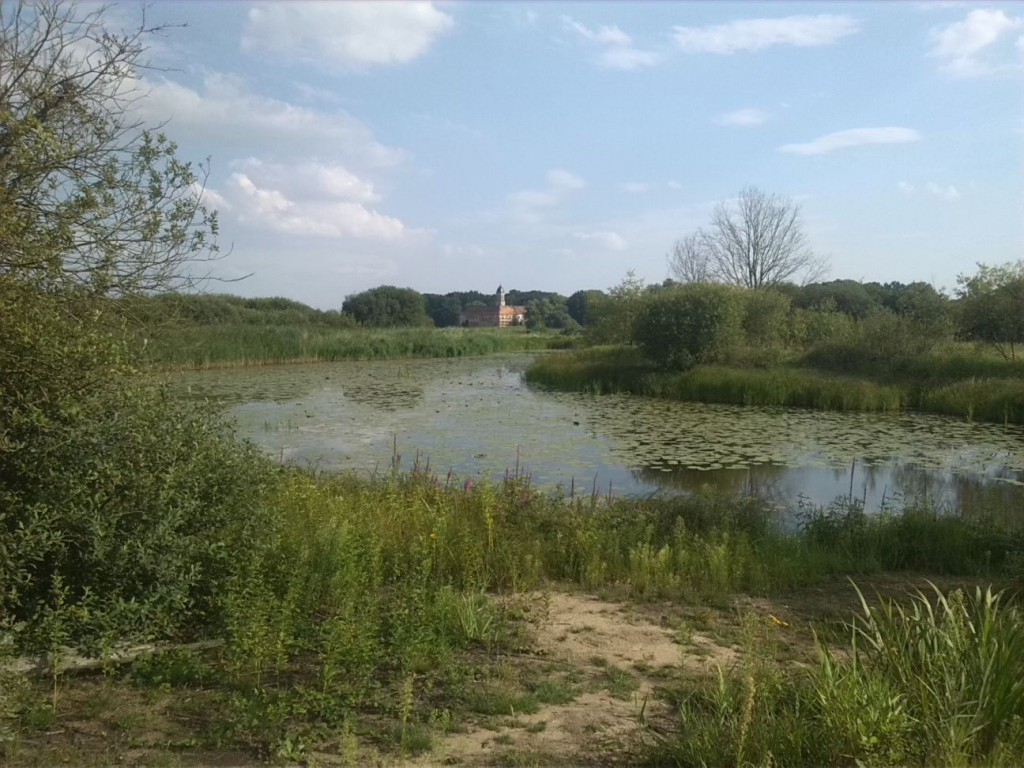 24-Schwarze Elster Altlauf Blick Zu Wasserschloss Gorsdorf Hemsendorf  (1)