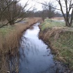 25-Blick Von Brücke Merseburger Straße Zwischen Zscherben & Merseburg Zu Geisel & Ins NSG Untere Geiselaue Nach Süden (2)