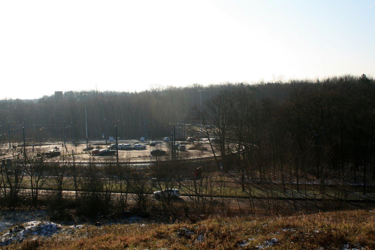 25-Blick Von Südteil NSG Brandberge Nach Süden Zu Wendeschleife Straßenbahnhaltestelle Kröllwitz