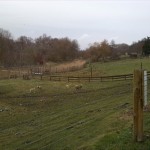 26-Nordrand Südpark Blick Über Schaftsgehege Zu Geisel Nach Osten (1)