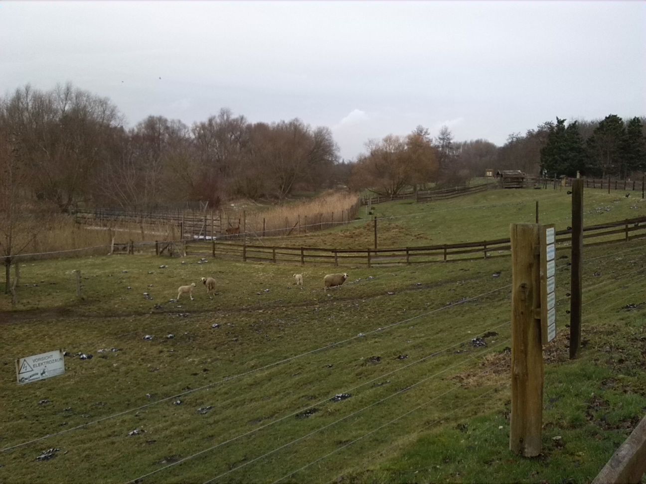26-Nordrand Südpark Blick Über Schaftsgehege Zu Geisel Nach Osten (1)