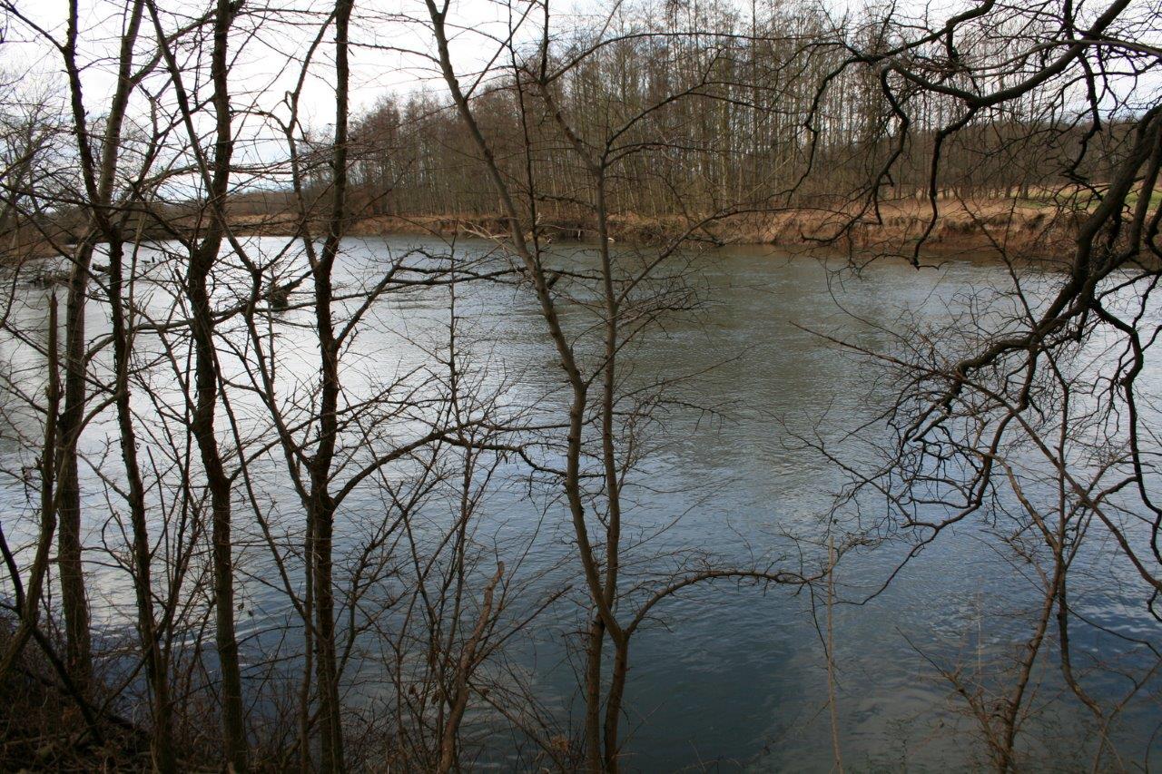 26-Rabeninsel Westteil Blick Wilde Saale Aufweitung & Obere Aue